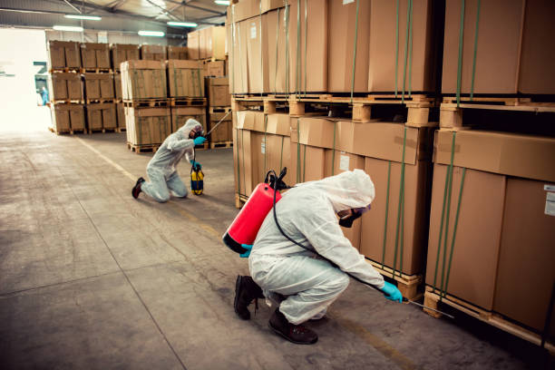 Best Local Pest Control Services  in Mancelona, MI