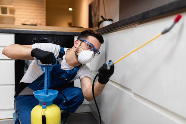 Trusted Mancelona, MI Pest Control Experts