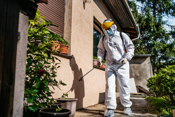 Best Best Pest Control Companies  in Mancelona, MI