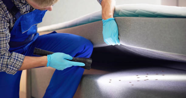 Best Wasp Removal Services  in Mancelona, MI